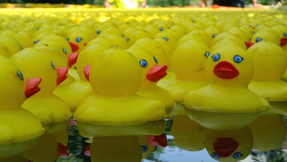 Duck race game